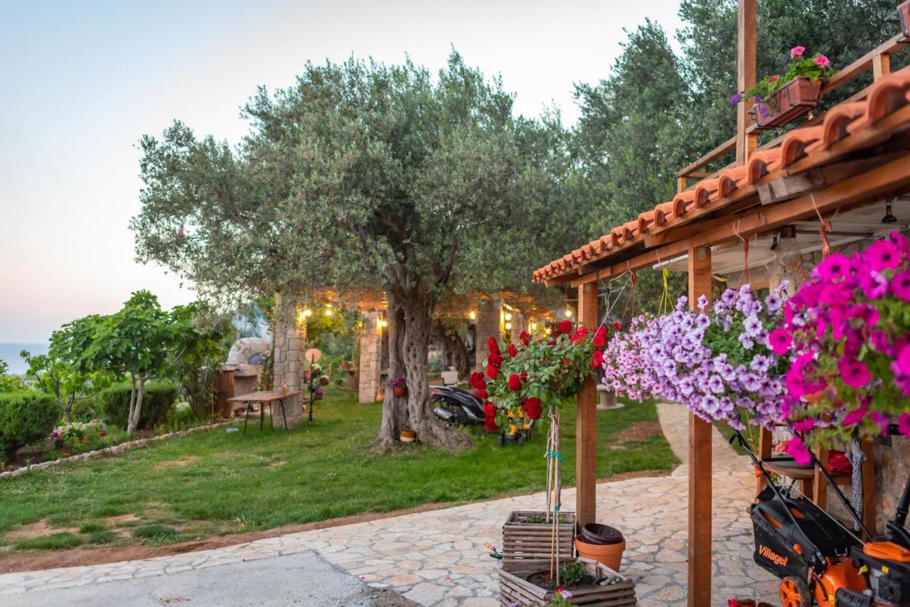 Holiday Park Olive Tree Ulcinj Luaran gambar