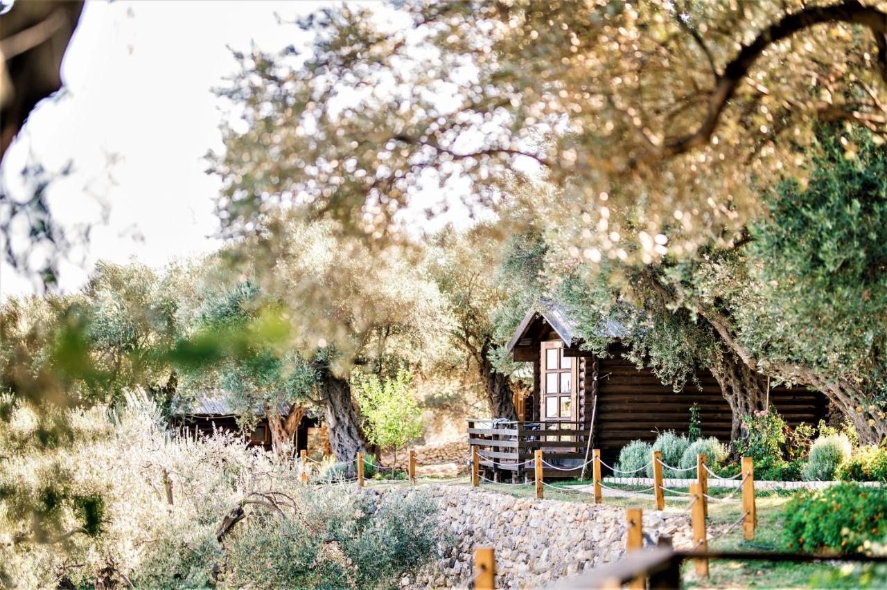 Holiday Park Olive Tree Ulcinj Luaran gambar