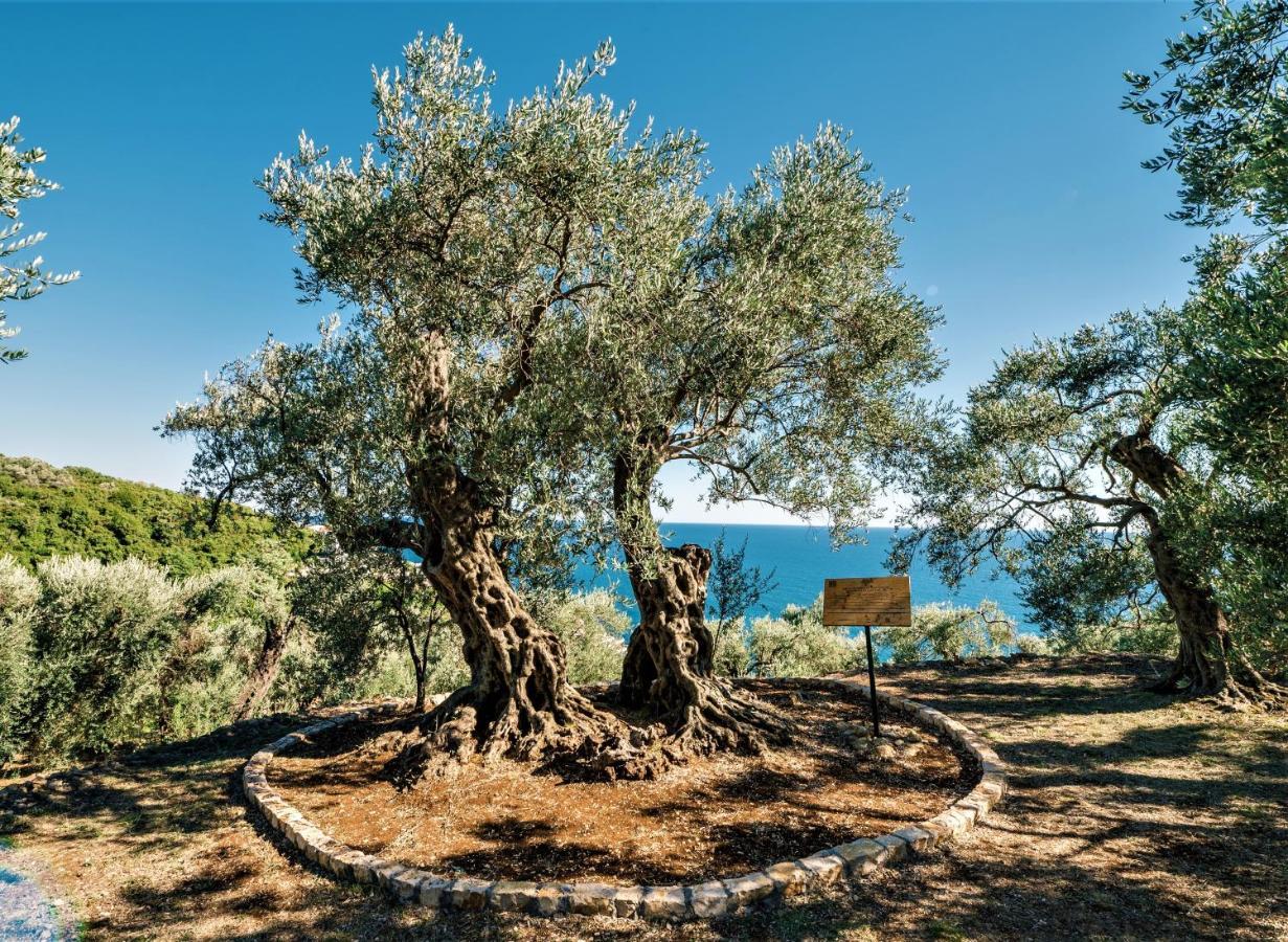 Holiday Park Olive Tree Ulcinj Luaran gambar
