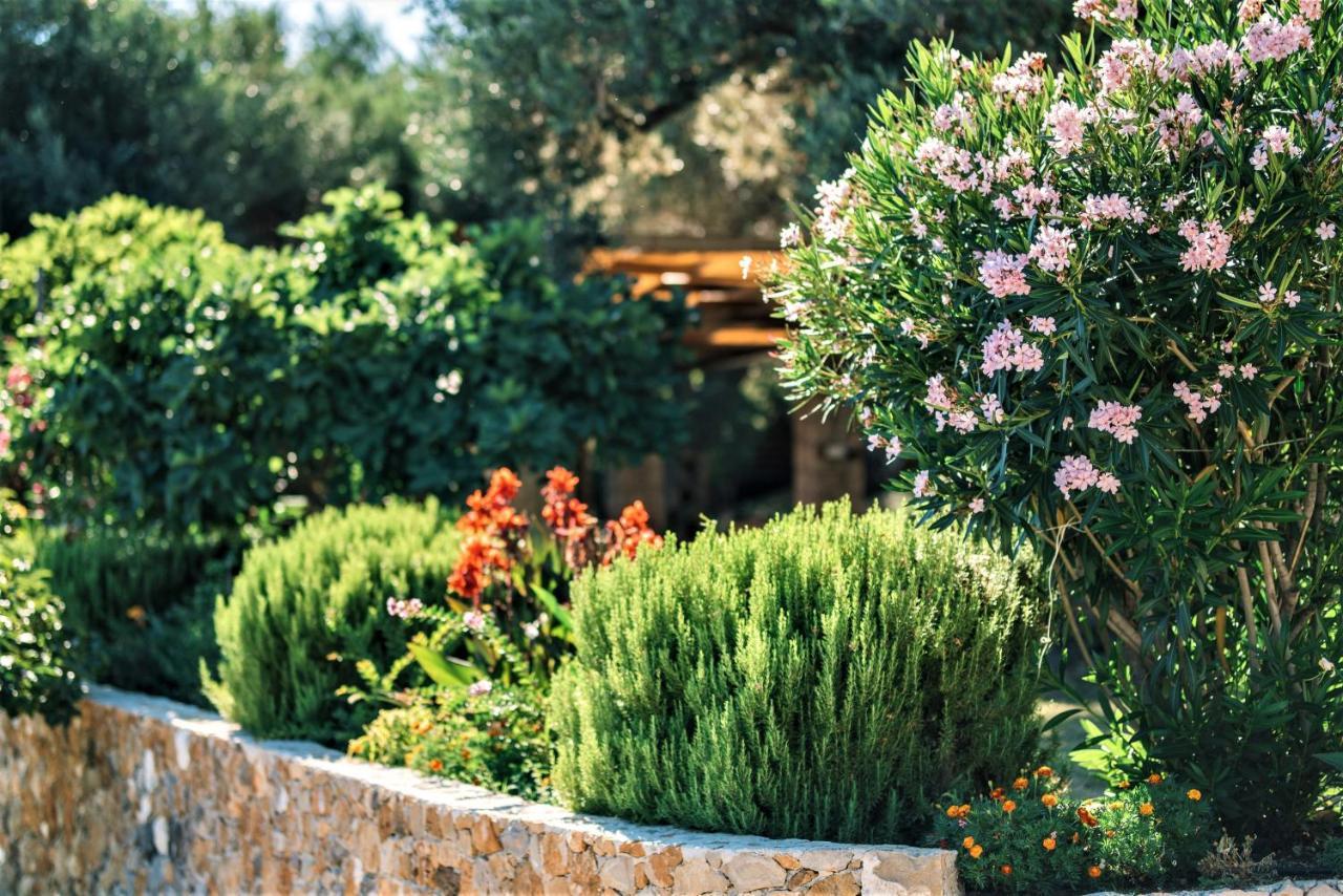 Holiday Park Olive Tree Ulcinj Luaran gambar