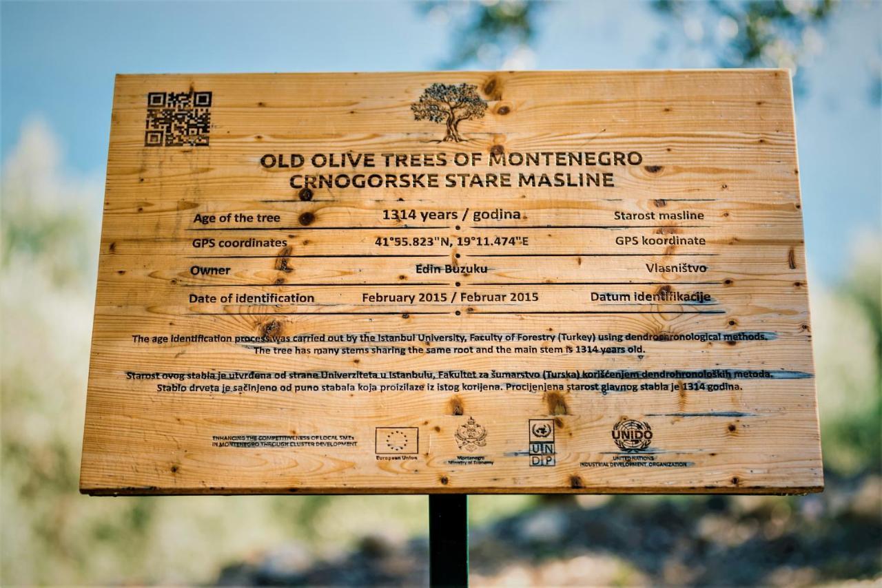 Holiday Park Olive Tree Ulcinj Luaran gambar