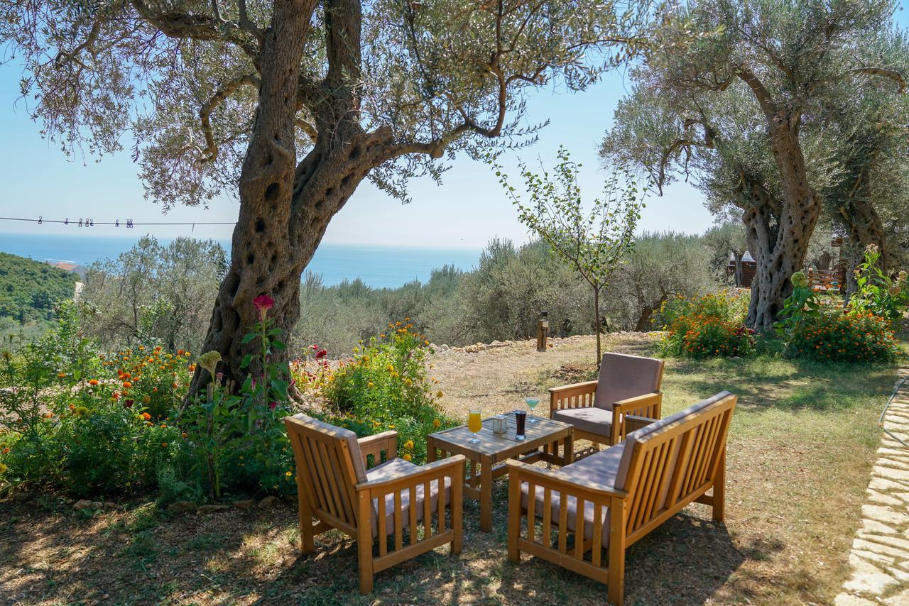 Holiday Park Olive Tree Ulcinj Luaran gambar